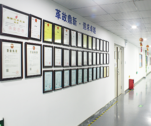 堅(jiān)豐電子 堅(jiān)豐電子